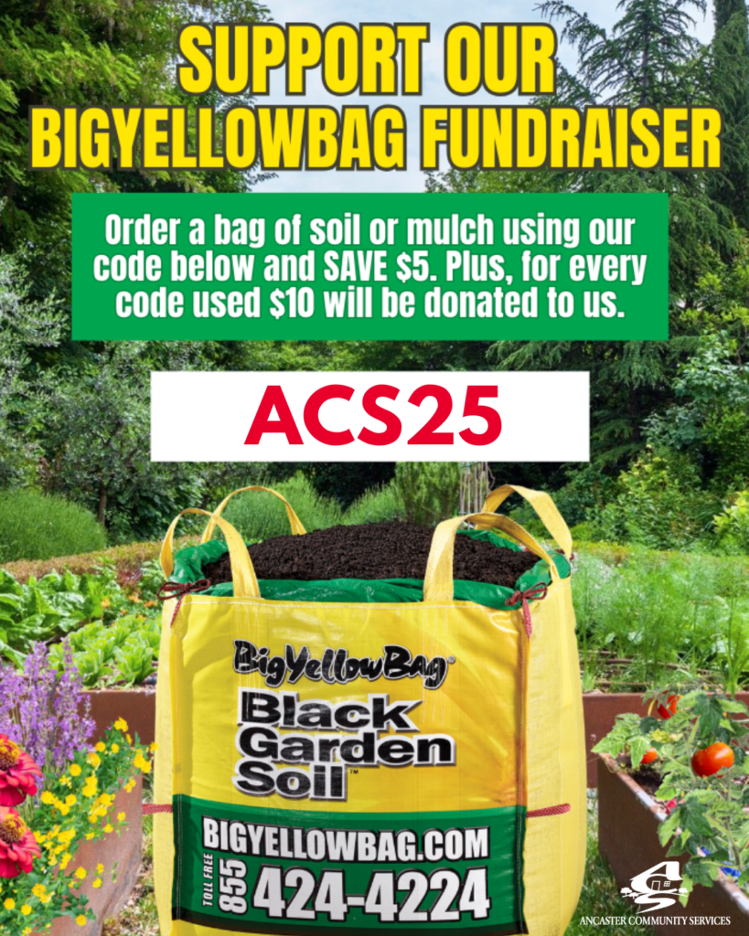 bigyellowbag poster